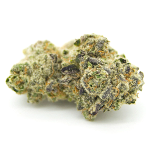 0-0 Swerdlow Weed strain