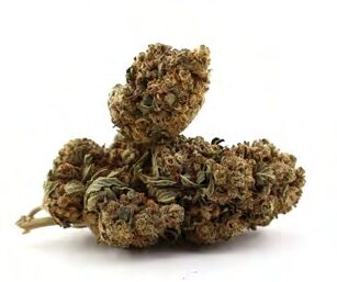 Buy WATERMELON COOKIES WEED STRAIN