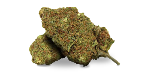 Buy PLATINIUM OG