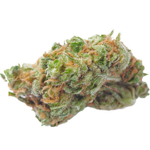 African Buzz Sativa Weed Strain