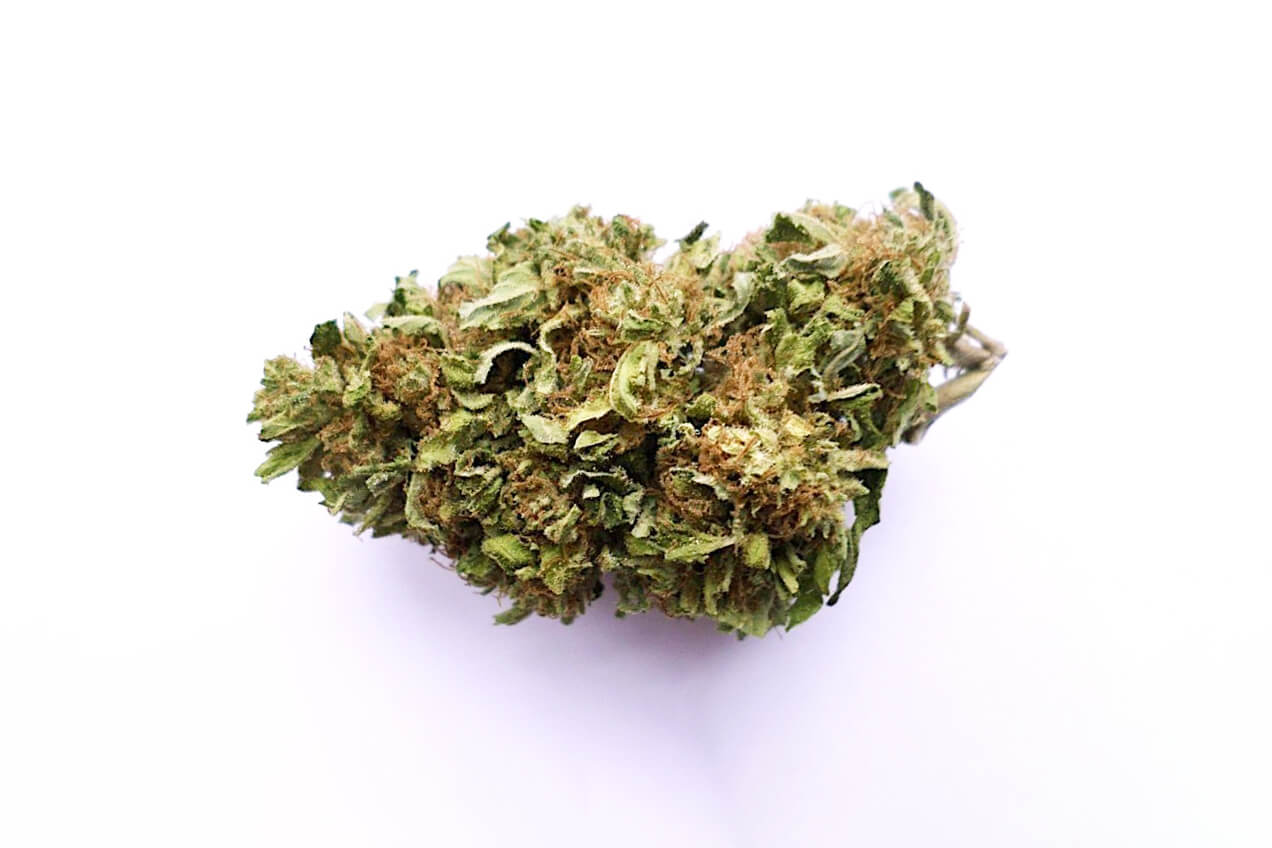 Bio Jesus Weed Strain