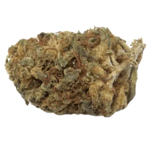 Berkeley Sativa Weed Strain