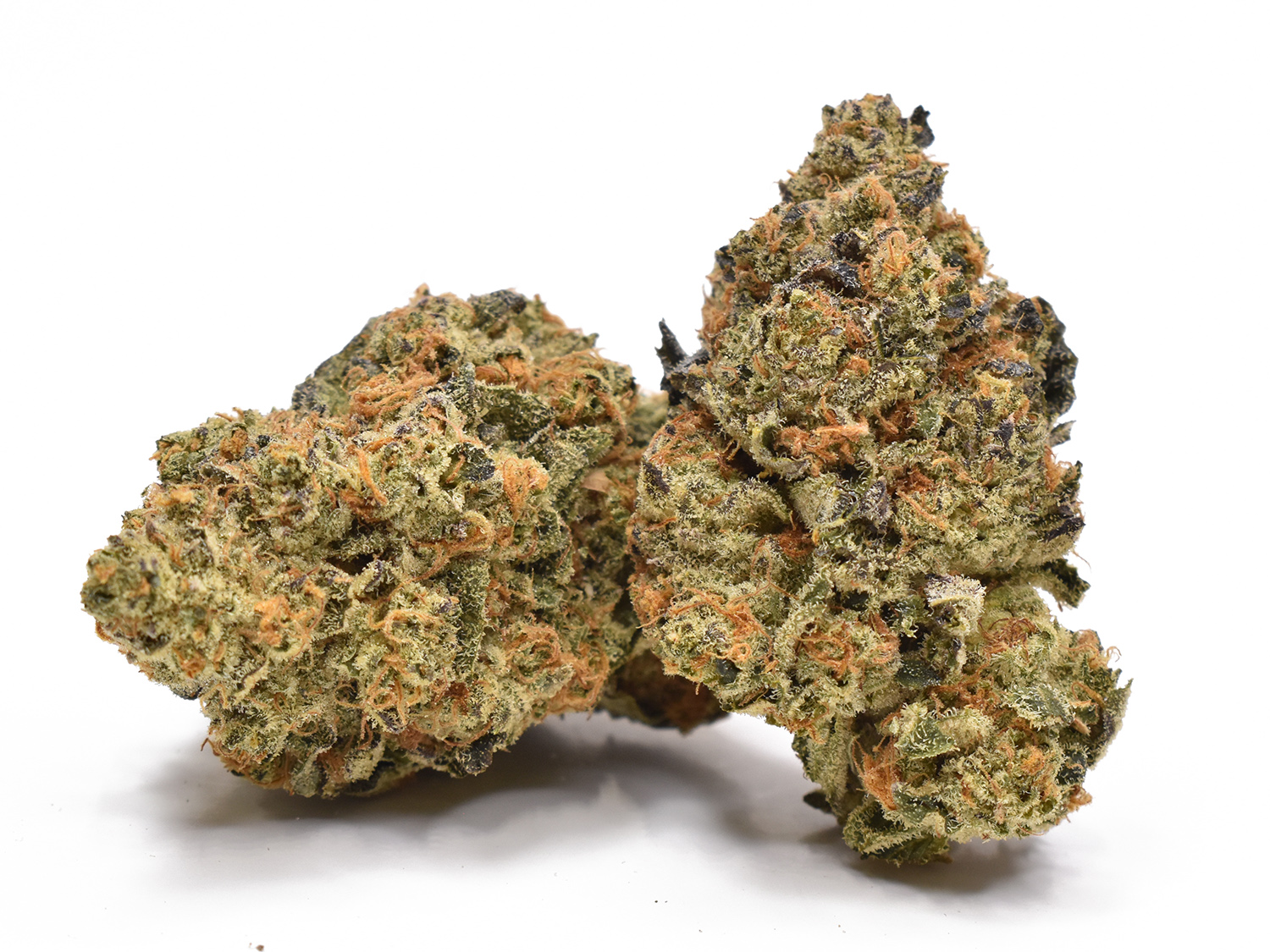 Blissful Wizard Weed Strain
