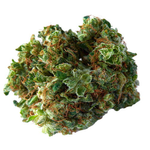 Buddah Kush Weed Strain