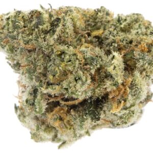 Cheetah Piss weed strain