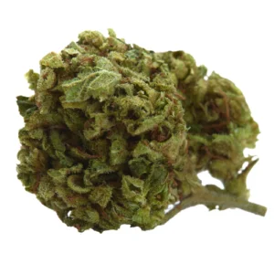 Cookies Gary Payton Weed Strain