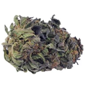 Critical Plus 2.0 Weed Strain
