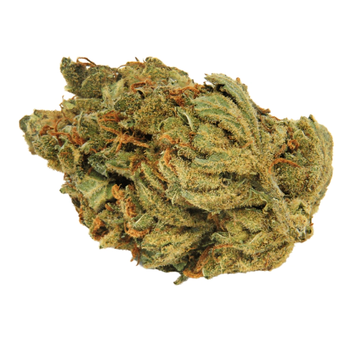 Buy Doc Trinity Sativa Weed Strain