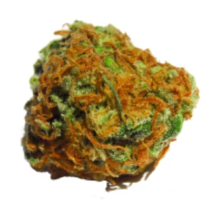 Dr Grinspoon Sativa Weed Strain