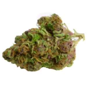 Durban Poison Sativa Weed Strain