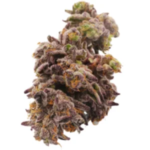 jack Frost Hybrid weed strain