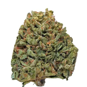 kashmir Kush Hybrid weed strain