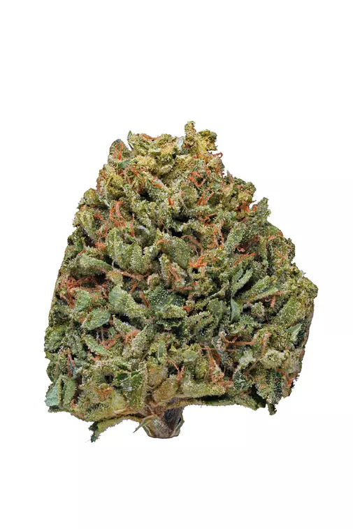 kashmir Kush Hybrid weed strain