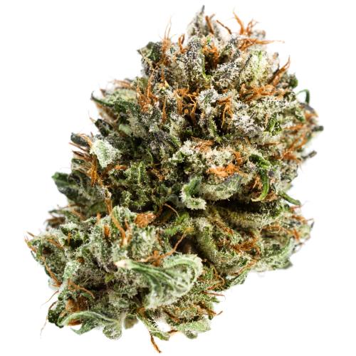 Kosher Kush Weed Strain