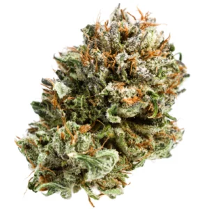 Kentucky Durban Sativa Weed Strain