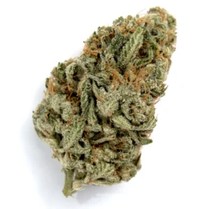 OG Malawi Haze Sativa Weed Strain 50g