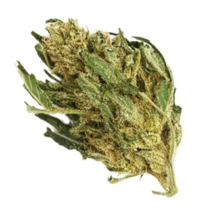 Old School Haze Sativa Weed Strain