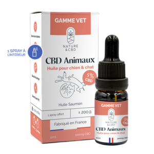 Buy 5% CBD Salmon Oil for Dogs and Cats – 10ml in Europe