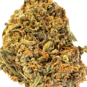 Buy Blue Cheese strain Online US