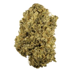 Buy Durban Poison Strain Online US