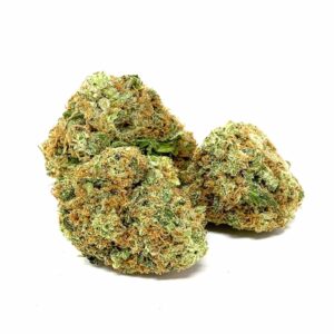 Buy Gelato Strain Online US