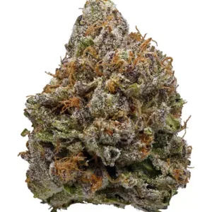 Buy Lavender Kush Strain Online US