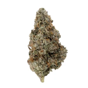 Buy Master Kush Strain Online US
