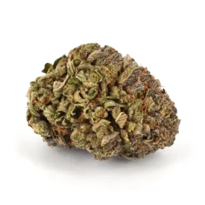  Buy Purple Urkle Strain Online US